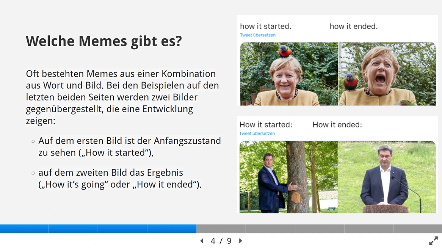 Screenshot: Seite aus dem E-Book zu "Memes"